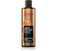 Farmona Jantar Amber Essence shampoing revitalisant pour cheveux blonds et gris 300 ml