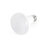 Faro Barcelona 17477 - AMPOULE R80 E27 12W LED 2700K