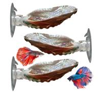 Faroby Cachette Betta, cachette et lit Betta, décor de Poisson ormeau Naturel avec Forte Ventouse, 2.76 à 3.15 Pouces, bûche 3 pièces
