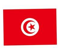 Faroby Drapeau Tunisien 150x90cm, bannière Nationale en Polyester, décoration de Jardin pour événements Sportifs