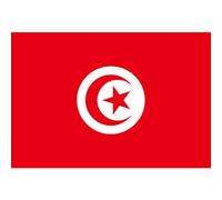 Faroby Drapeau Tunisien 150x90cm, bannière Nationale tunisienne en Polyester pour événements Sportifs et décoration de Jardin