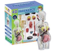 Faroby Modèle de Corps Humain pour Enfants 8, 5 Pouces - Modèle d'anatomie de Femme Enceinte Amovible, Jouet d'apprentissage précoce en Plastique, Jouet Scientifique éducatif
