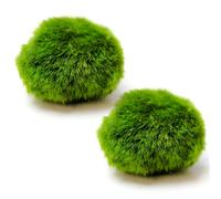 Faroby Paquet de 2 Boules de Mousse Marimo Live, Boules Mousse d'aquarium pour la décoration d'aquarium, Vertes, 1.46 à 1.57 Pouces, décoratives