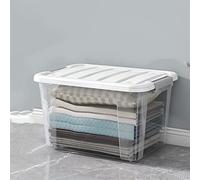 FARRJO Receiving Box Household Storage Box Transparent Debris Toy Storage Box Large Clothes Organize Box Snack Plastic Basket (Color : White, Size : 30 * 22 * 17cm)