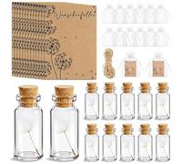 FARYODI Stadtgärtner Lot de 12 petits stylos à souhaits - Parapluie en verre véritable - Durable - Idée cadeau parfaite pour un anniversaire, un mariage, la fête des mères