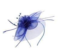 Fascinateur en tulle rétro Hairhoop pour la douche nuptiale peigne à cheveux fait main bandeau à plumes pour les réunions de l'église des cartes du thé Amtier