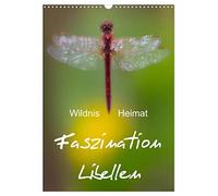 Fascination des libellules - Une patrie sauvage, Version française (Calendrier mural 2026 DIN A3 portrait), Calendrier CALVENDO mensuel