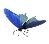 Fascinations Métal Terre - Pipevine Swallowtail Butterfly Modèle 3D en métal