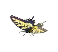 Fascnations Metal Earth: Tiger Swallowtail Butterfly 3D Metal Model Kit