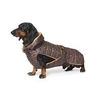 Fashion Dog Imperméable Hunde-Steppmantel Spécialement pour Teckel - 33 CM
