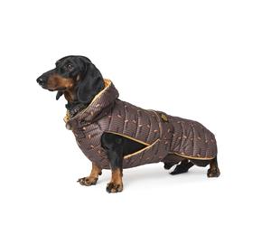 Fashion Dog Imperméable Hunde-Steppmantel Spécialement pour Teckel - 33 CM