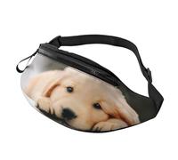 Fashion Lazy Dog Puppy Sac banane et poitrine réglable pour homme et femme Fermeture Éclair sécurisée Léger et compact Parfait pour les voyages, le sport, la randonnée, l'extérieur, Motifs 3D, Taille