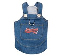 Fashion Pet Denims Jupe Chiots Luxe Jupe Vêtements pour Chien Princesses Robes pour promenades quotidiennes ou séances photo Tenue tendance pour animal domestique