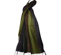Fashion Shawl Etole Écharpe dégradée de vert choco et gris