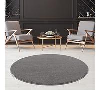 Fashion4Home Tapis de Salon uni - Tapis uni pour Chambre d'enfant, Chambre à Coucher, Bureau, Couloir et Cuisine - Tapis à Poils Courts Gris Clair - Dimensions : 120 cm, Rond.