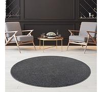 Fashion4Home tapis Unisexe - Tapis Gris à Poils Courts pour Salon, Chambre d'Enfant, Chambre à Coucher, Bureau et Couloir - Taille: 120 cm, Rond.