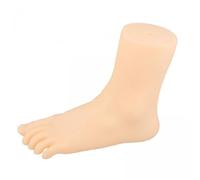 FashionCha 2x Modèle de Pied, Affichage de Pied de Mannequin pour Femme, Simulation de Bracelet de Cheville, Affichage de Chaussettes pour Chaussures, Chaussette
