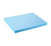 FashionCha Bloc de Mousse Artisanale Utilisé pour Maquettes de Planche de Polystyrène Adaptée à La Sculpture Feuille Légère pour Bricolage Base Stable Po, 30 X 40 X 2 Cm