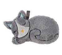 Fashy 63066 23 Bouillotte Chat " Kitty " Avec Remplissage de Graine Colza, Gris