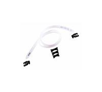 Fashy élastique pour lunettes de natation blanc