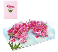 Fassory Carte pop-up 3D avec fleur d'orchidée rose, carte d'anniversaire, carte de remerciement, carte d'anniversaire, carte de pensée à vous, carte de bonne chance, carte de félicitations (orchidée