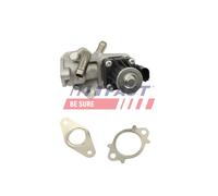 FAST FT10061 Vanne EGR