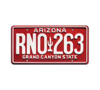 Fast and the Furious | RNO 263 | Metal Stamped License Plate