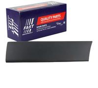 FAST Baguette et bande protectrice panneau latérale FT90786 Compatible avec FIAT Ducato II Camion plate-forme/Châssis 244 Ducato II Van 244 Ducato II Bus 244