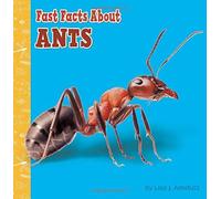Fast Facts About Ants