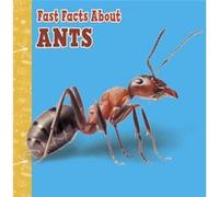 Fast Facts About Ants by Lisa J. Amstutz Lisa J. Amstutz (Auteur)