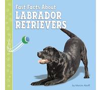 Fast Facts About Labrador Retrievers