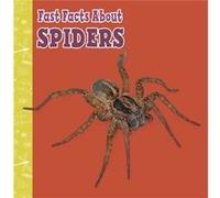 Fast Facts About Spiders by Julia GarsteckiDerkovitz Julia GarsteckiDerkovitz (Auteur)