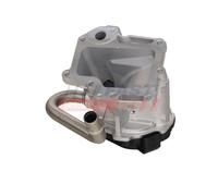 FAST FT10599 Vanne EGR