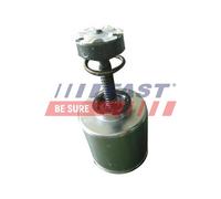 Piston d'étrier de frein Essieu arrière FT32290 FAST pour IVECO DAILY IV Fourgon