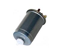 FAST FT39079 Filtre à carburant pour Focus (DFW), Focus (DNW), Tourneo Connect, Transit Connect, Focus (DAW, DBW)