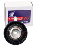 FAST FT44537 Galet enrouleur de courroie d'accessoire