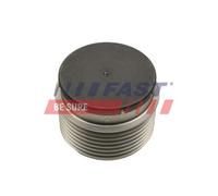 FAST FT45646 Poulie, alternateur pour FORD