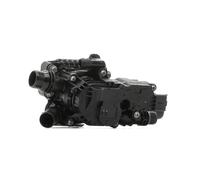 FAST FT58055 Thermostat d'eau