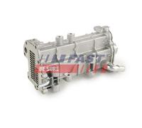FAST FT60404 Radiateur, réaspiration des gaz d'échappement pour FIAT,IVECO
