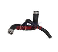 FAST FT61615 Durite de refroidissement