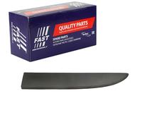 FAST FT90965 Baguette et bande protectrice porte Compatible avec RENAULT Trafic 3 Van FG Trafic 3 Minibus JG Trafic 3 Camion plate-forme/Châssis EG, FIAT Talento Van 296 Talento Minibus 296