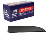 Baguette Et Bande Protectrice Vitre De Porte Fast FT90966 pour Opel Fiat Nissan