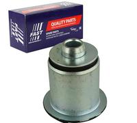 FAST Roulements, corps d'essieu FT52324 Vorderachse | Compatible avec: NISSAN PRIMASTAR Bus, PRIMASTAR Kasten, OPEL VIVARO A Bus, VIVARO A Kasten, VIVARO A Pritsche/Fahrgestell
