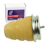 Fast Butée élastique de suspension FT18101