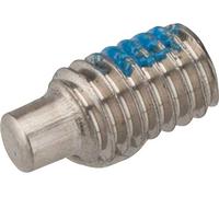 Fastener, Standard (Metric): Screw [M3 x .5mm x 6mm] SS Socket Set Dog Point, Nylock Patch