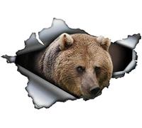 FASTLATE - Autocollant De Voiture en Métal Déchiré Ours Brun, Étiquette Personnalisée Intéressante, pour Ordinateur Portable, Camion, Moto, Décoration Automobile en PVC, 13cm X 8cm