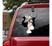 FASTLATE Lot De 2 Autocollants Chinois À Crête pour Voiture, Chien, Autocollants Réalistes À Crête Chinoise pour Vitres De Voiture, Murs, Série 64, Taille 30,5 X 30,5 Cm