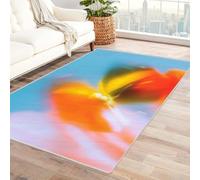 FASTLATE Tapis Bloc Asymétrique Multicolore Papillon pour Salon, Chambre, Bureau, Support Antidérapant, Épais, Durable, Facile d'entretien(Orange)-90x120cm,Orange,120 X 150 Cm