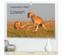 Faszination Afrika: Löwen (hochwertiger Premium Wandkalender 2026 DIN A2 quer), Kunstdruck in Hochglanz: Löwen, die größten Katzen Afrikas