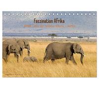 Faszination Afrika - wilde Tiere der Masai Mara - Kenia (Tischkalender 2026 DIN A5 quer), CALVENDO Monatskalender: Wundervolle Aufnahmen frei lebender ... fotografiert vom Naturfotografen Ralph Patzel